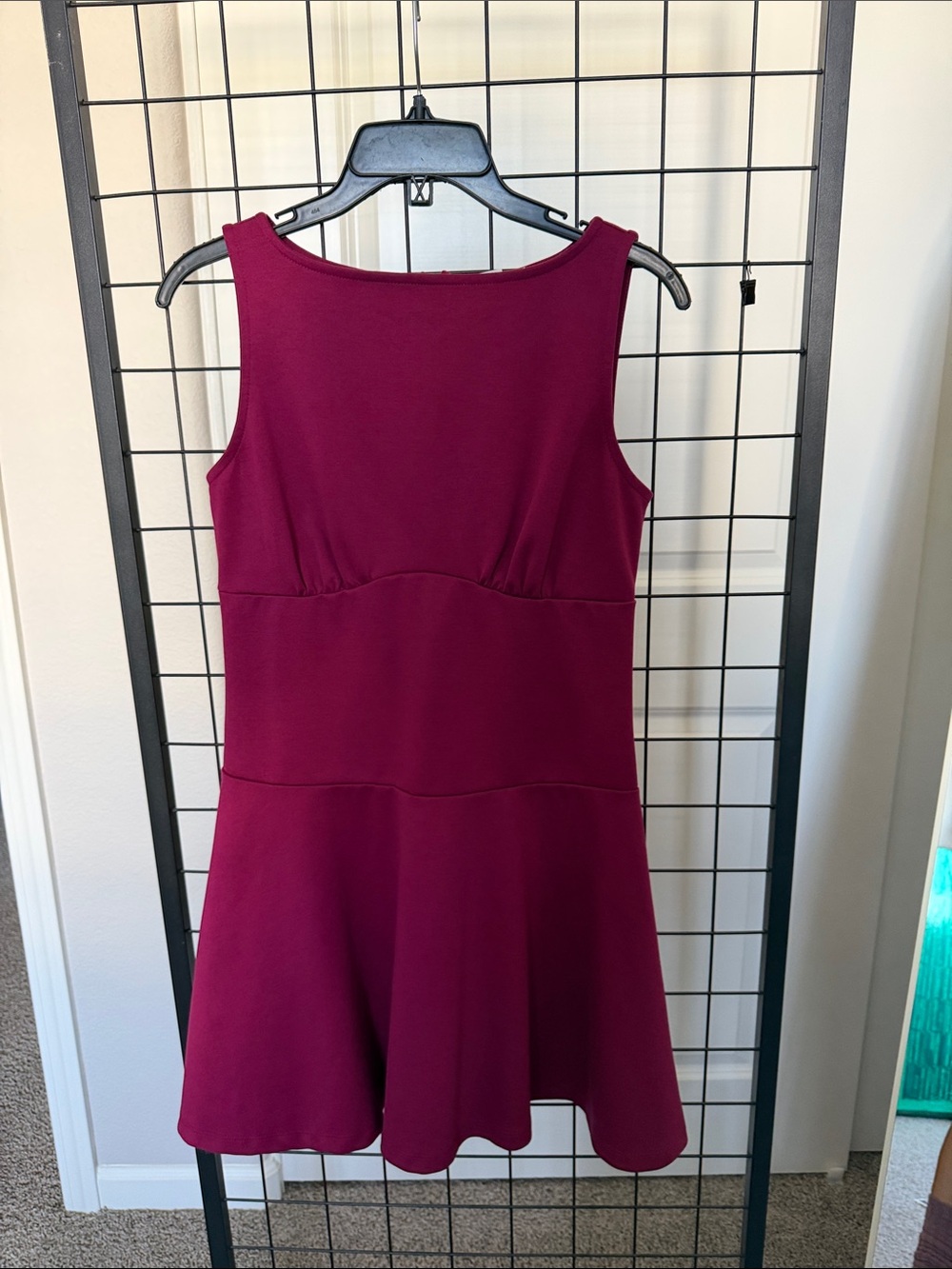 GAP Sleeveless Wine-Berry Flared Mini Dress